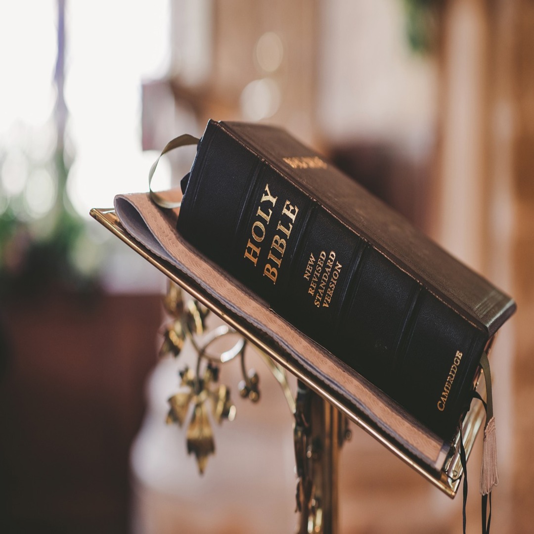 You are currently viewing Bible Studies